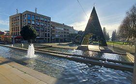 Alamedastudio